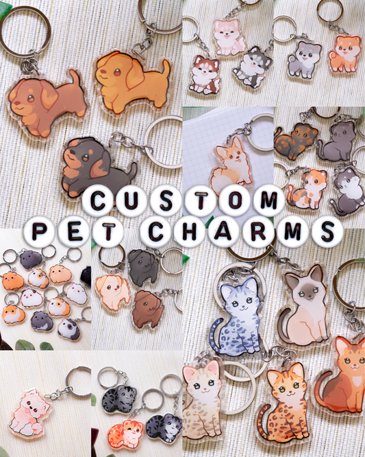 Custom Pet Keychain | Limited Offer