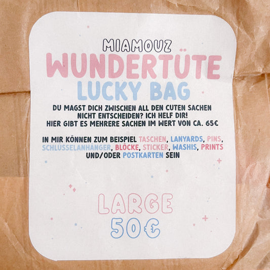 Large Lucky Bag | Fukubukuro | Items worth 65€